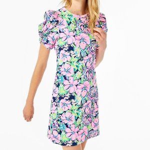NWT! Lilly Pulitzer Anabella Dress Size L